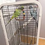     
: IMG_20210101_193336_460.jpg
: 11
:	114.6 
ID:	13439819