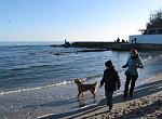    
: _Fountain Beach Club3.jpg
: 13
:	151.4 
ID:	13440079