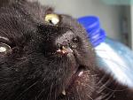     
: IMG_3532.jpg
: 6
:	144.7 
ID:	13440342