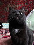     
: IMG_3513.0.jpg
: 9
:	91.4 
ID:	13440343