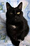     
: IMG_3580.jpg
: 9
:	65.1 
ID:	13440344