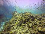    
: GOPR1240_ALTA-2435680763860899360.jpg
: 35
:	269.9 
ID:	13442161