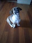     
: IMG_20210112_123119.jpg
: 32
:	57.4 
ID:	13442584