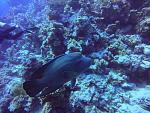     
: GOPR1213_ALTA-2435680763860899360.jpg
: 17
:	203.0 
ID:	13442657