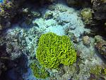     
: GOPR1232_ALTA-2435680763860899360.jpg
: 18
:	255.9 
ID:	13442658