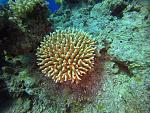    
: GOPR0305_ALTA-1105466373642792099.jpg
: 17
:	252.1 
ID:	13442659