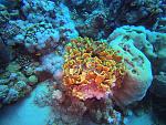     
: GOPR0275_ALTA-1105466373642792099.jpg
: 16
:	226.6 
ID:	13442661