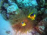     
: GOPR0220_ALTA-1105466373642792099.jpg
: 18
:	161.4 
ID:	13442662