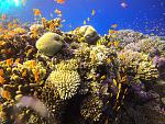     
: GOPR0149_ALTA-1105466373642792099.jpg
: 17
:	246.7 
ID:	13442665