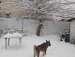     
: IMG_20210113_085613.jpg
: 10
:	172.9 
ID:	13442796