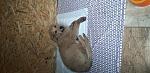     
: 20201231_140410.jpg
: 102
:	130.5 
ID:	13442975