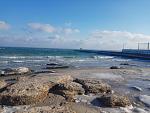     
: IMG_20210117_135344.jpg
: 83
:	124.2 
ID:	13444071