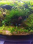     
: IMG_20210109_184152.jpg
: 18
:	141.2 
ID:	13445734
