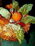     
: 20210125_194007.jpg
: 28
:	154.1 
ID:	13446641