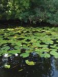     
: IMG_20190727_102257.jpg
: 9
:	150.5 
ID:	13446664