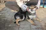     
: IMG_7496.jpg
: 41
:	147.7 
ID:	13446961