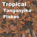     
: Tropical Tanganyika Flakes.jpg
: 13
:	159.4 
ID:	13447840
