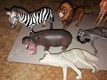     
: IMG_20210131_144109.jpg
: 17
:	157.6 
ID:	13448019