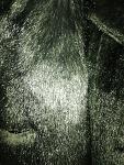     
: IMG_20210131_122150.jpg
: 6
:	195.2 
ID:	13448041