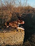     
: _viber_2021-01-03_21-36-56.jpg
: 37
:	171.8 
ID:	13448668