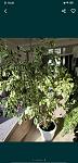     
: Screenshot_20210203_182817.jpg
: 11
:	85.2 
ID:	13448923