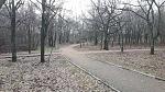     
: _viber_2021-02-05_16-08-21.jpg
: 24
:	230.1 
ID:	13449932