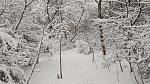     
: P_20210207_101248.jpg
: 17
:	247.3 
ID:	13449986