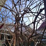     
: IMG_20210209_214836_338.jpg
: 95
:	235.3 
ID:	13450857