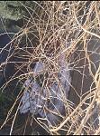     
: IMG_20210209_183650.jpg
: 97
:	192.6 
ID:	13450860