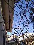     
: received_875656866598682.jpg
: 96
:	100.2 
ID:	13450862