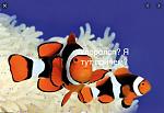     
: Screen Shot 2021-02-12 at 12.05.34 AM.jpg
: 19
:	57.6 
ID:	13451295