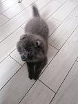     
: _viber_2021-02-07_11-59-13.jpg
: 25
:	72.8 
ID:	13452211