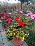     
: _viber_2020-10-29_16-25-43.jpg
: 7
:	154.1 
ID:	13452782