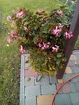     
: _viber_2020-10-29_16-24-44.jpg
: 10
:	153.7 
ID:	13452925
