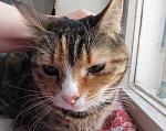     
: IMG_5407.jpg
: 27
:	165.5 
ID:	13452953