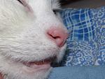     
: IMG_5417.jpg
: 30
:	147.6 
ID:	13452954