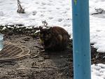     
: IMG_5399.jpg
: 32
:	189.7 
ID:	13452957