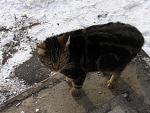     
: IMG_5398.jpg
: 28
:	174.0 
ID:	13452958