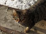     
: IMG_5401.jpg
: 30
:	179.1 
ID:	13452960