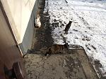     
: IMG_5405.jpg
: 30
:	228.8 
ID:	13452961