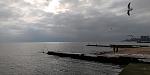     
: P_20210221_094004.jpg
: 14
:	80.7 
ID:	13453816