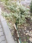     
: IMG_20210226_154339_014.jpg
: 31
:	178.0 
ID:	13455379