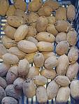     
: IMG_20210227_092649.jpg
: 31
:	114.5 
ID:	13455534