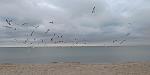     
: P_20210228_085006.jpg
: 23
:	57.6 
ID:	13455839