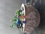     
: IMG_20210228_160356_1..jpg
: 10
:	110.9 
ID:	13456579