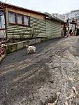     
: IMG-f0673b6532951bca63fa0a02cecab94c-V.jpg
: 25
:	165.4 
ID:	13457722