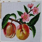     
: IMG_20210305_093612_019.jpg
: 15
:	169.2 
ID:	13458102