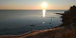     
: P_20210307_065438.jpg
: 10
:	92.0 
ID:	13458727