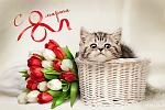     
: idea520.jpg
: 15
:	141.9 
ID:	13459045