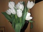     
: IMG_20210308_135623.jpg
: 19
:	95.5 
ID:	13459077